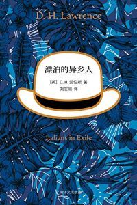 漂泊的异乡人-汉笺公版书