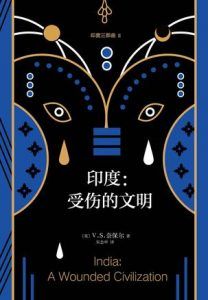 印度:受伤的文明-汉笺公版书