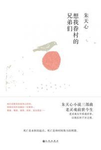 想我眷村的兄弟们-汉笺公版书