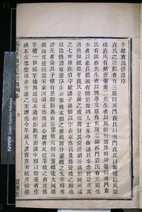 《[浙江鄞縣]鄞東莘橋袁氏宗譜四卷末一卷》作者：(民國)民國石固等纂修  木活字本  PDF下载-汉笺公版书