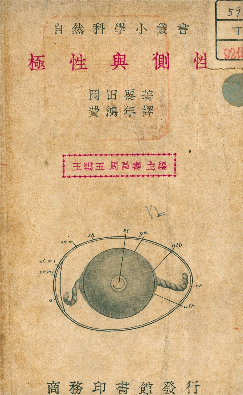 《極性與側性》 作者:岡田要 著 1936年  PDF下载-汉笺公版书