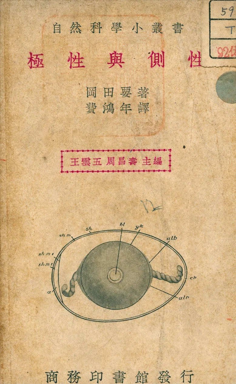 《極性與側性》 作者:岡田要 著 1936年  PDF下载-汉笺公版书