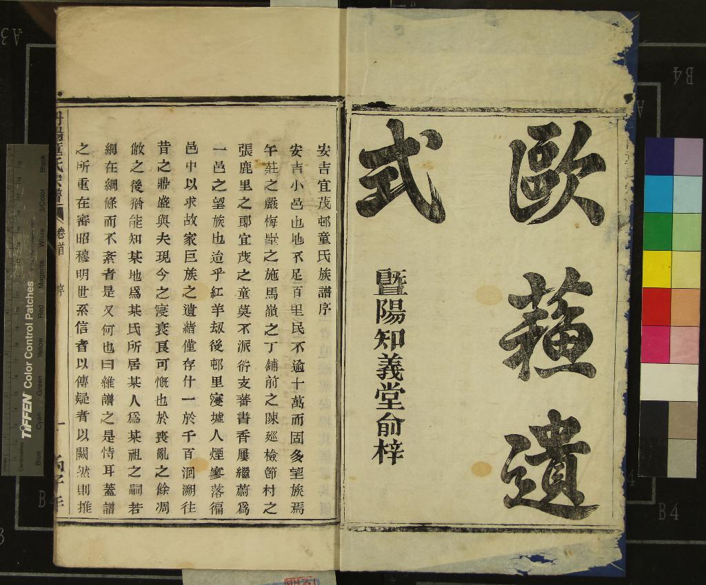 《[浙江湖州]丹陽童氏宗譜六卷》作者：(民國)民國童禮興纂修  活字本  PDF下载-汉笺公版书