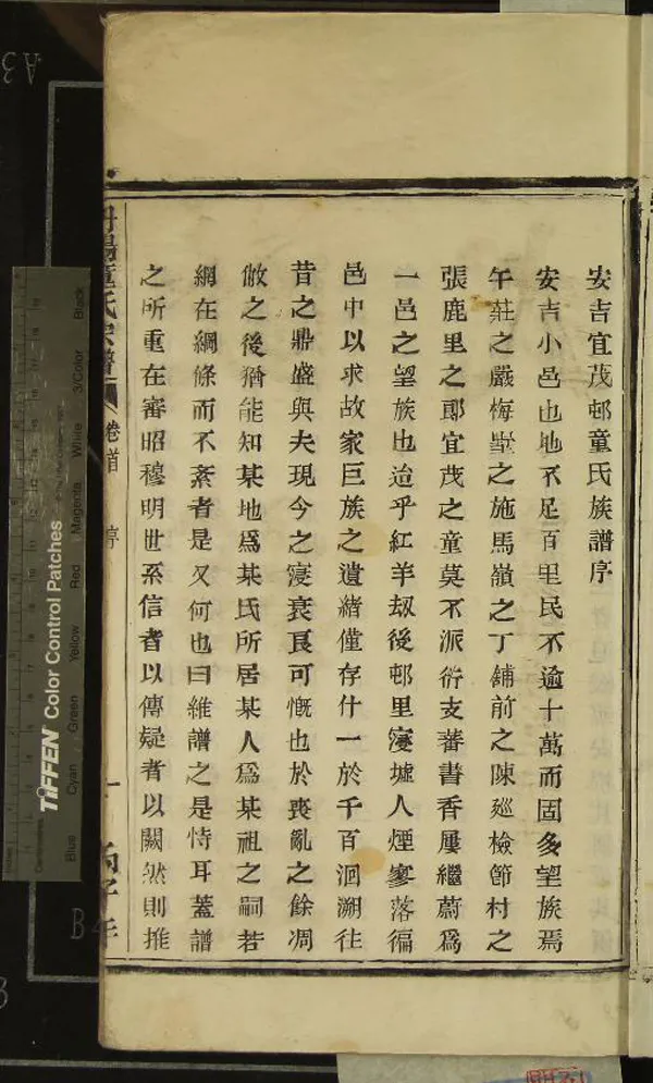 《[浙江湖州]丹陽童氏宗譜六卷》作者：(民國)民國童禮興纂修  活字本  PDF下载-汉笺公版书