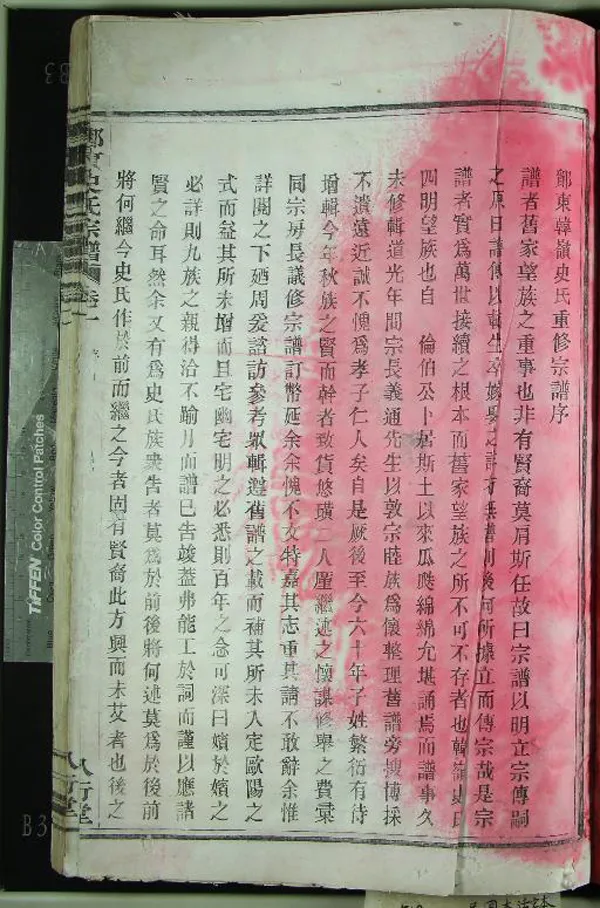 《[浙江鄞縣]鄞東韓嶺史氏宗譜二卷》作者：(民國)民國史致天、史悠安等纂修  活字本  PDF下载-汉笺公版书