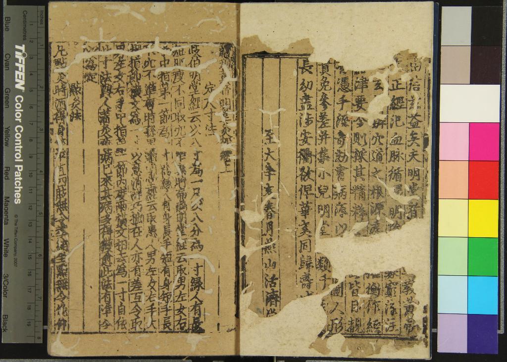 《鍼灸四書九卷》作者：(元至大)不著撰者編  刻本  PDF下载-汉笺公版书