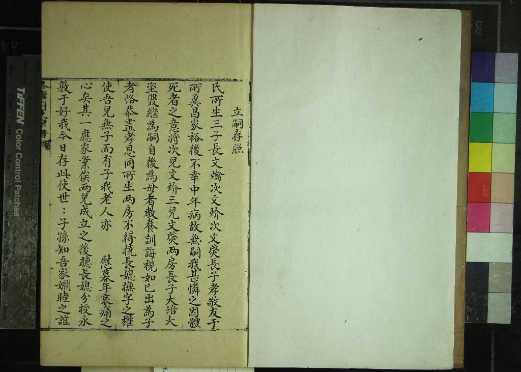 《洛塘周氏宗譜不分卷》作者：(清)清周勲懋纂  抄本  PDF下载-汉笺公版书