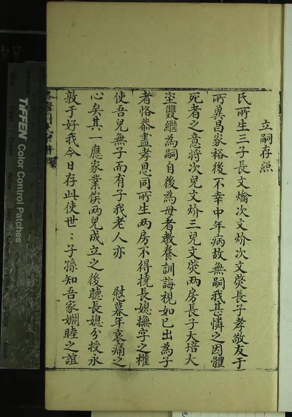 《洛塘周氏宗譜不分卷》作者：(清)清周勲懋纂  抄本  PDF下载-汉笺公版书