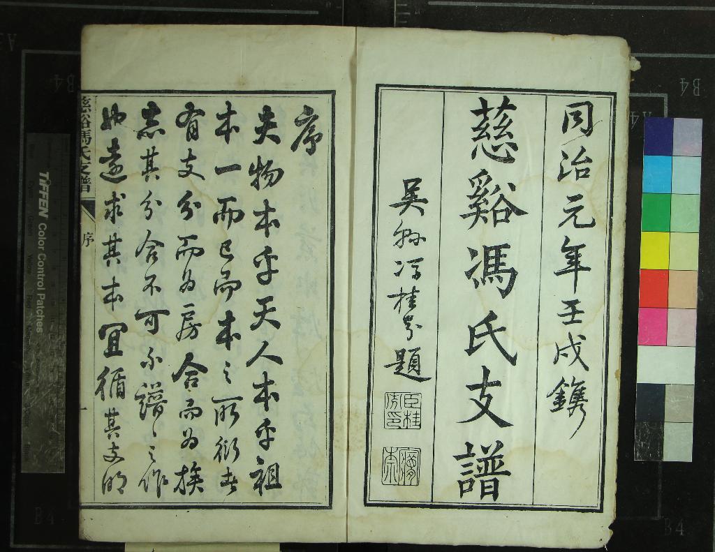 《[浙江]慈谿馮氏支譜不分卷》作者：(清同治)清馮祖恩輯  刻本  PDF下载-汉笺公版书