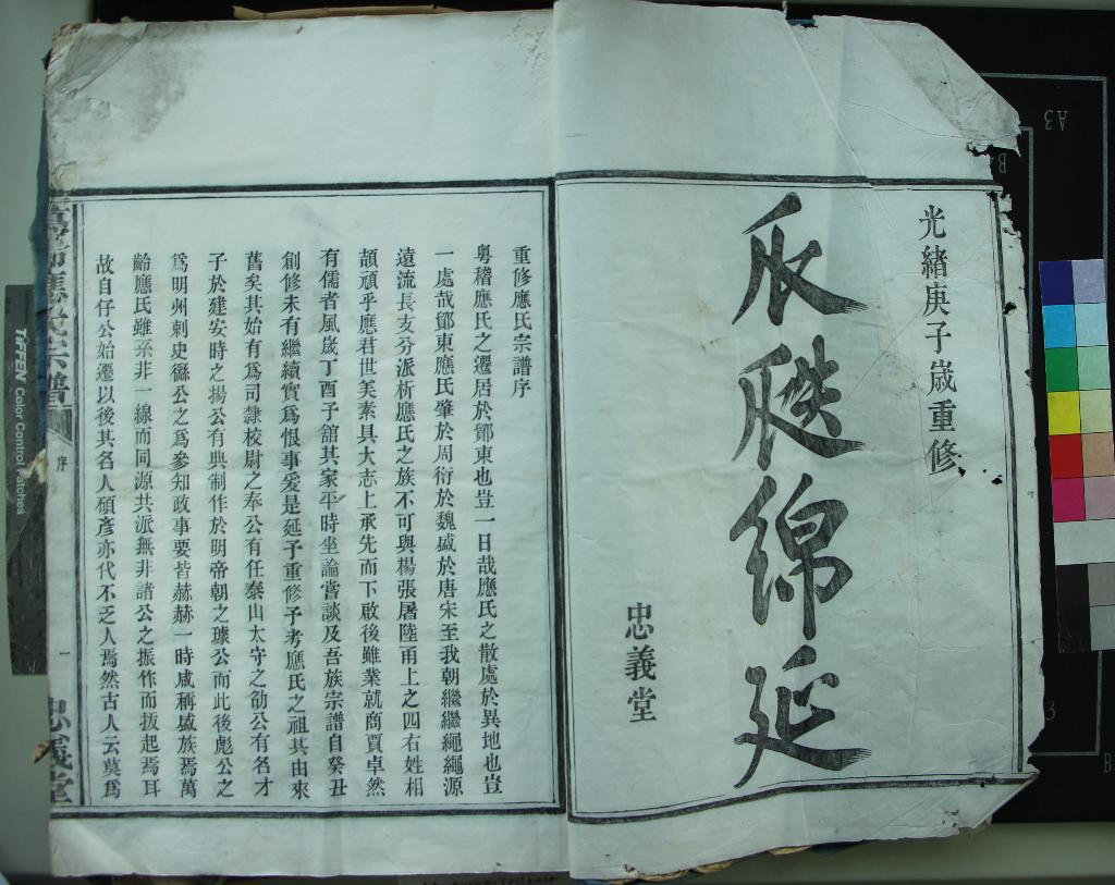 《[浙江鄞縣]萬齡應氏宗譜不分卷》作者：(清光緒)清王琳、應世美等纂修  活字本  PDF下载-汉笺公版书