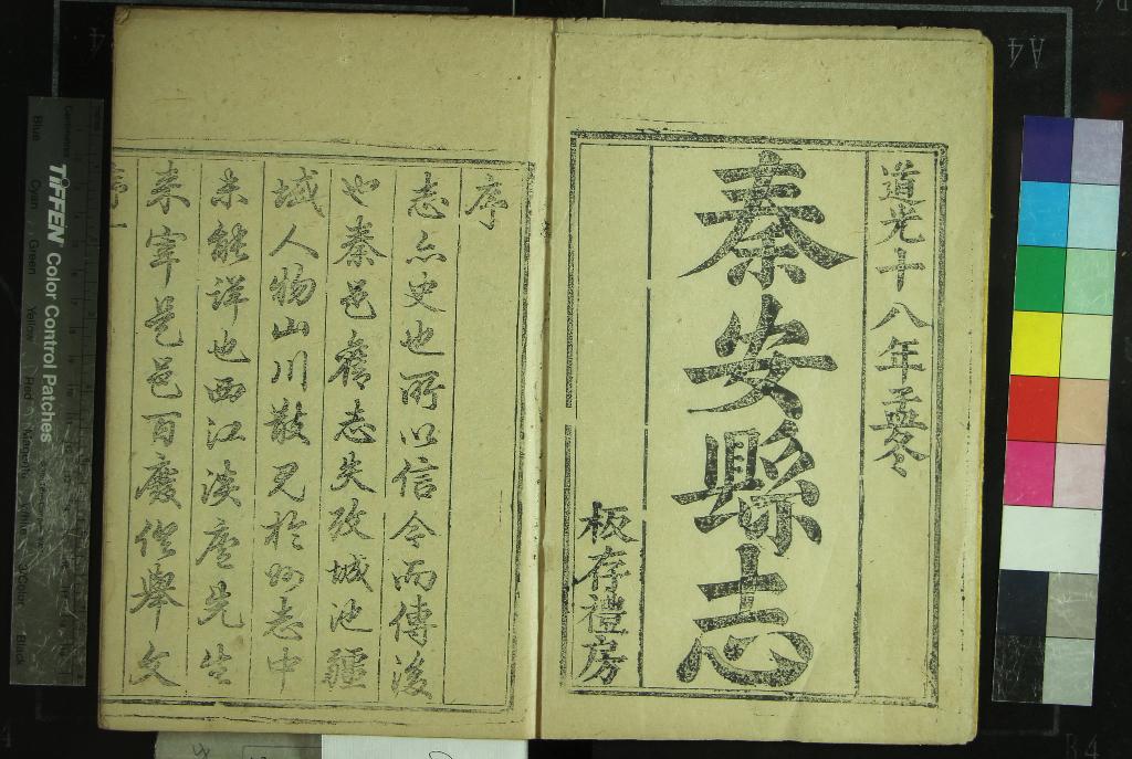 《[道光]秦安縣志十四卷》作者：(清道光)清嚴長宦修  刻本  PDF下载-汉笺公版书