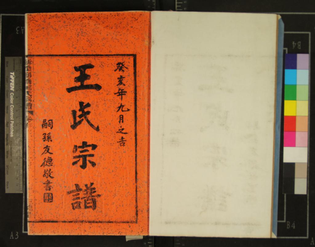 《[浙江鎮海]新添廟橋王氏家譜四卷首一卷》作者：(民國)民國王钦瑞等纂修  活字本  PDF下载-汉笺公版书