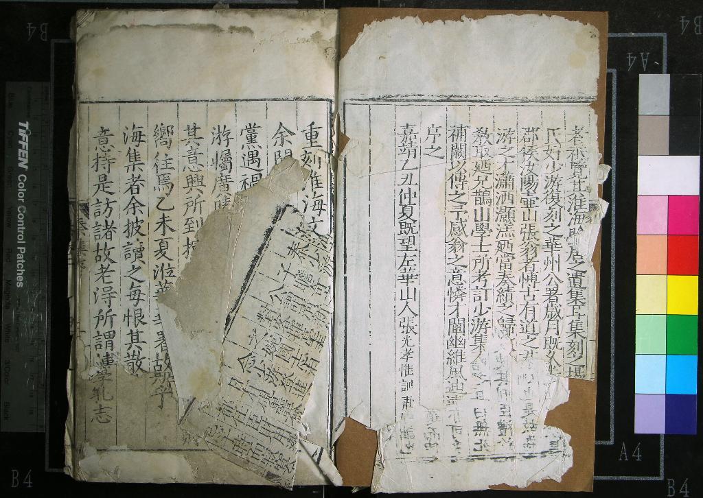 《淮海集四十卷後集六卷》作者：(明嘉靖)宋秦觀撰  刻本  PDF下载-汉笺公版书