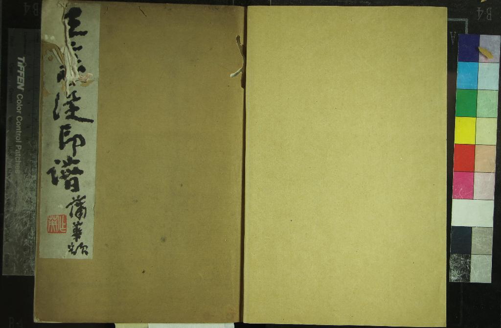 《王義從印譜不分卷》作者：(清)清王義從撰  鈐印本  PDF下载-汉笺公版书