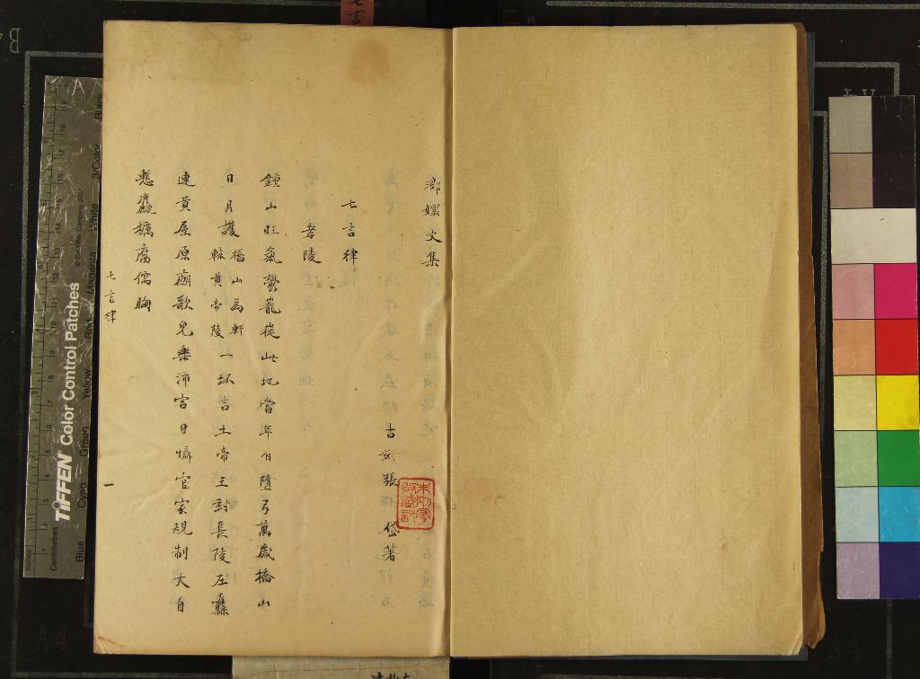 《瑯嬛文集不分卷》作者：(清)清張岱著  抄本  PDF下载-汉笺公版书