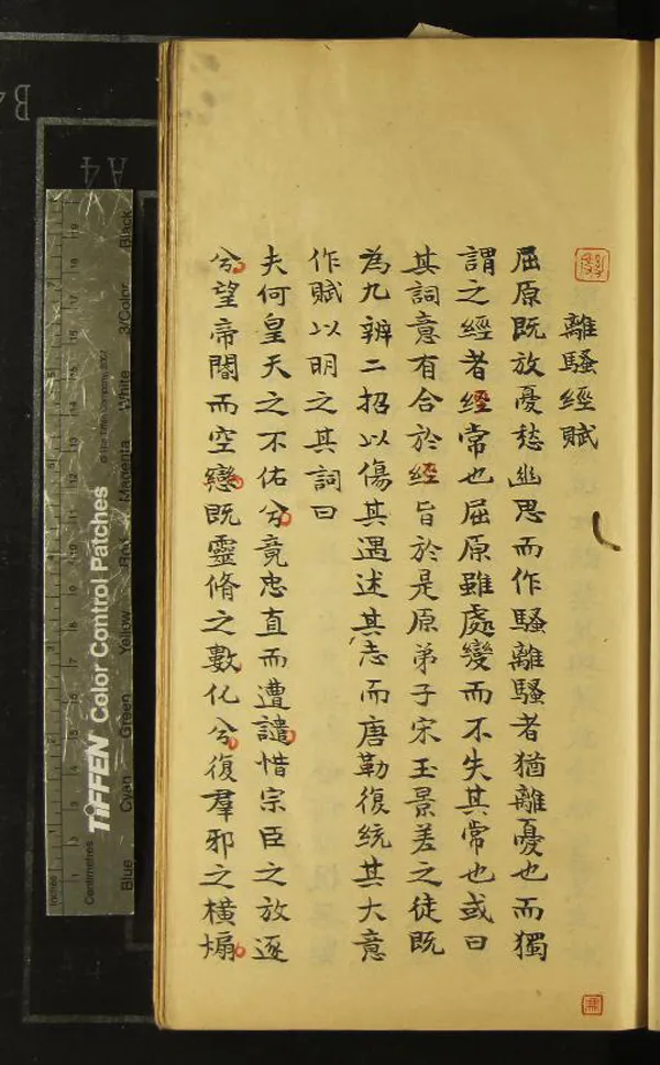 《映紅樓文稿不分卷》作者：(清)清王定祥撰  抄本  PDF下载-汉笺公版书