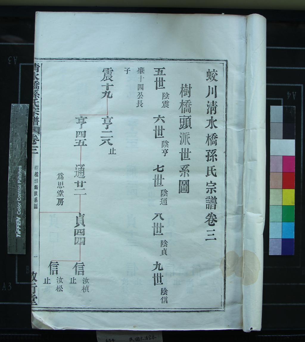 《[浙江鎮海]蛟川清水橋孫氏宗譜□□卷》作者：(民國)民國不著撰者纂修  活字本  PDF下载-汉笺公版书