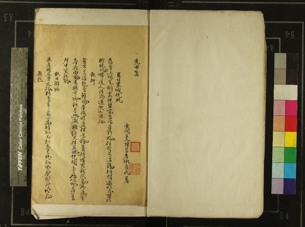 《先甲集不分卷》作者：(清)明陳萊孝著  抄本  PDF下载-汉笺公版书