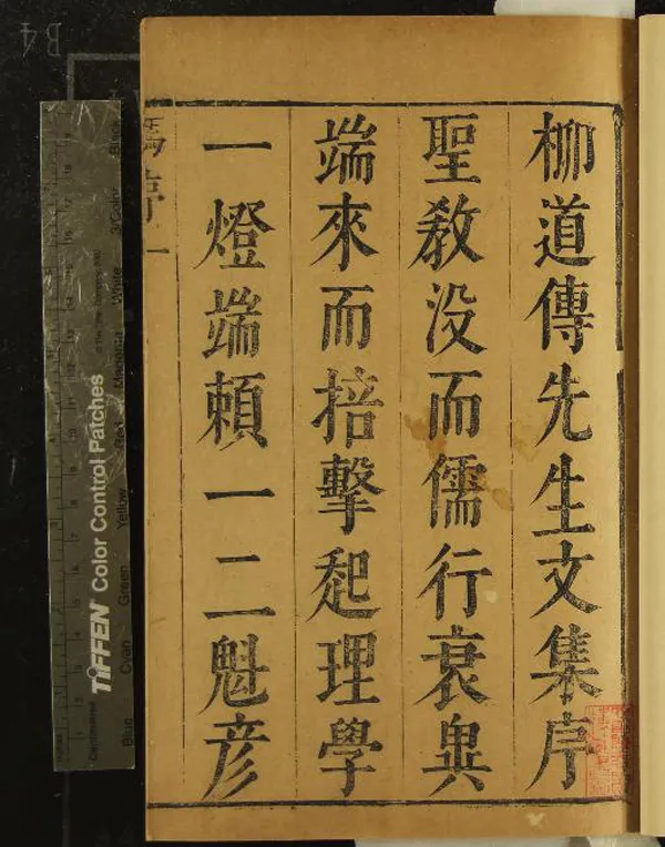 《柳待制文集二十卷附錄一卷》作者：(清順治)元柳貫著、清范養民輯、清柳寅東編、清馮如京定、清夏之中、李之芳叅、清馮雲驥、陸大任校、清何思卿、張燧訂  刻本  PDF下载-汉笺公版书