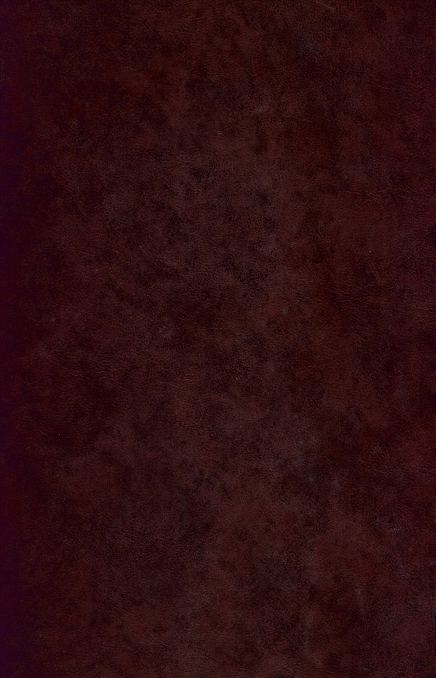 《廣州市廿一年人口調查報告(下)》 作者:廣州市調查人口委員會編 1932年  PDF下载-汉笺公版书