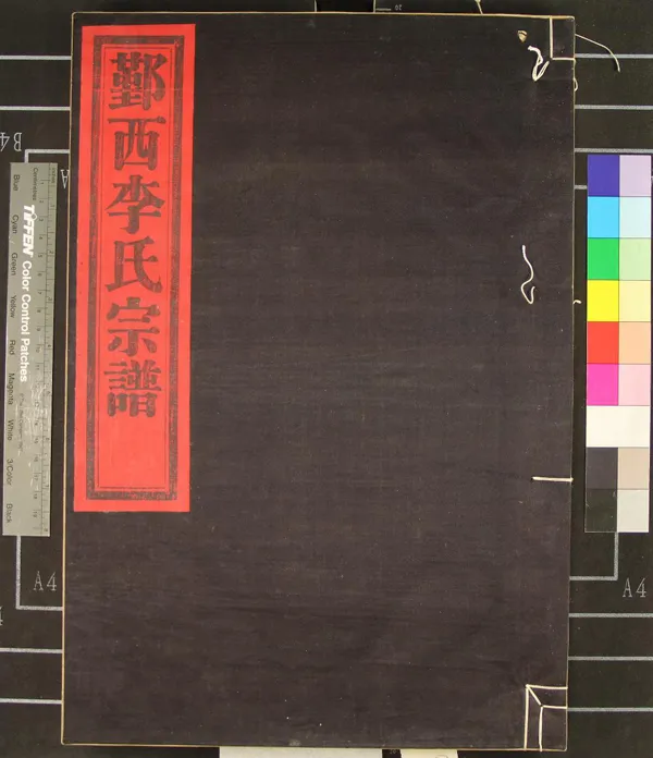 《[浙江鄞縣]鄞西石乳橋李氏宗譜四卷》作者：(民國)清李嘉楣纂修  木活字本  PDF下载-汉笺公版书