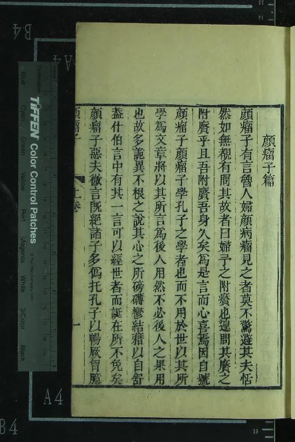 《顏瘤子二卷》作者：(清)清張節撰  刻本  PDF下载-汉笺公版书