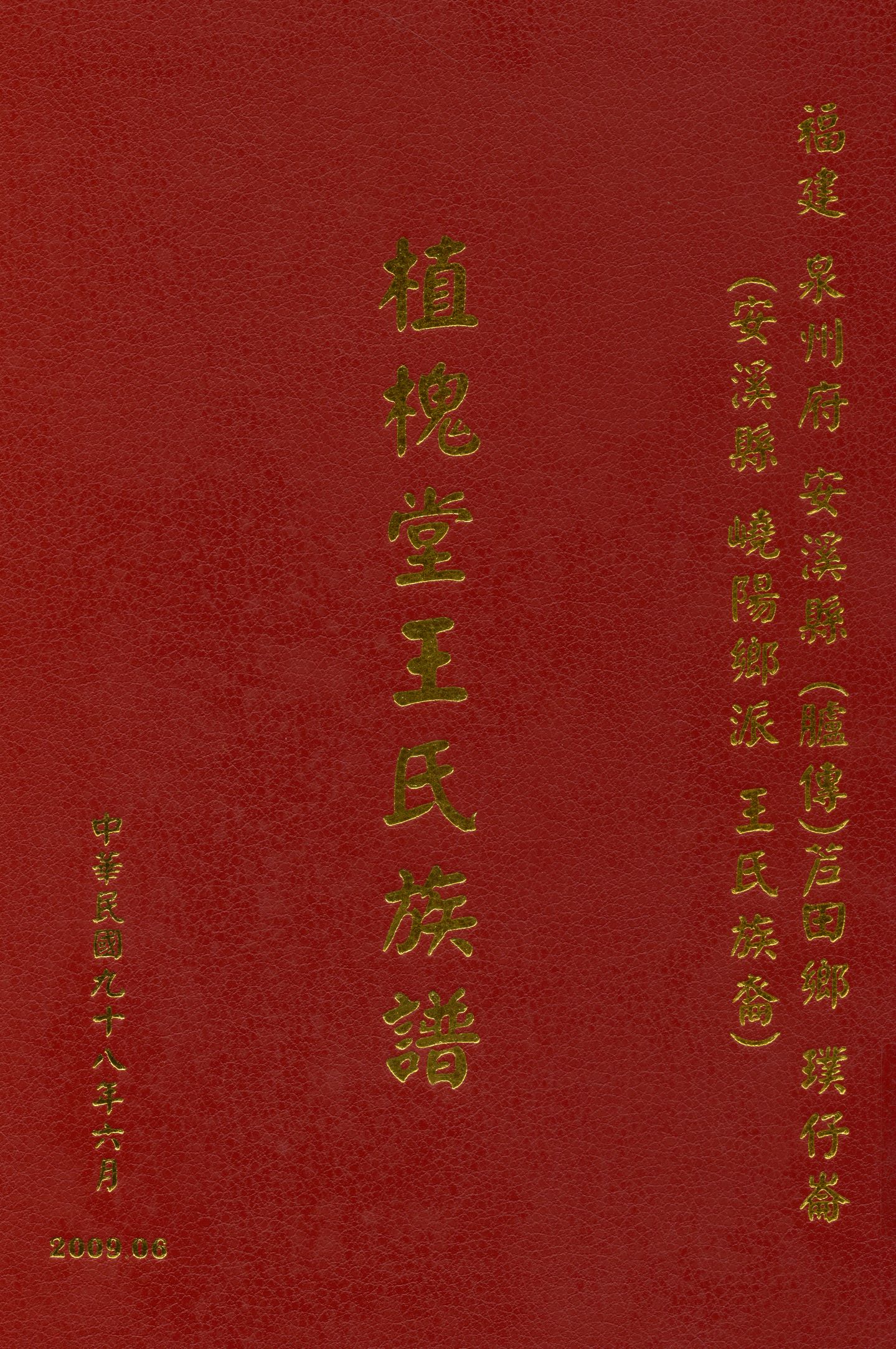 《植槐堂王氏族譜》 作者:木根 2009年  PDF下载-汉笺公版书
