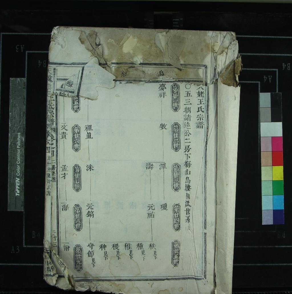 《[浙江新昌]天姥王氏宗譜八卷》作者：(清乾隆)清王金燦修、清王祖炎纂  活字本  PDF下载-汉笺公版书