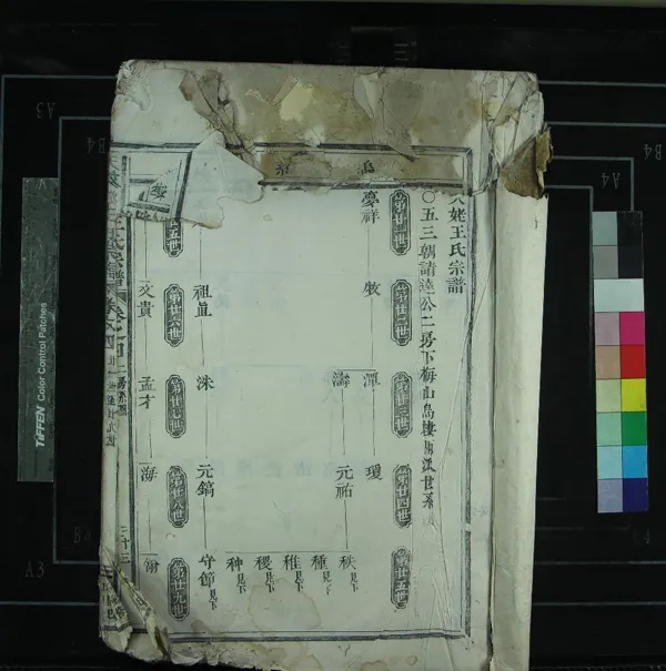 《[浙江新昌]天姥王氏宗譜八卷》作者：(清乾隆)清王金燦修、清王祖炎纂  活字本  PDF下载-汉笺公版书