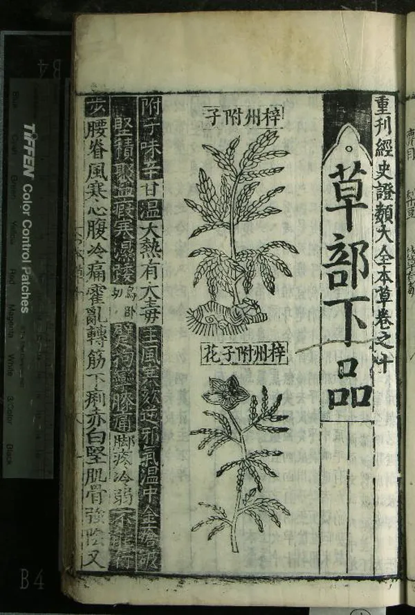 《重刊經史證類大全本草三十一卷》作者：(明)宋唐慎微撰、宋寇宗奭衍義  刻本  PDF下载-汉笺公版书