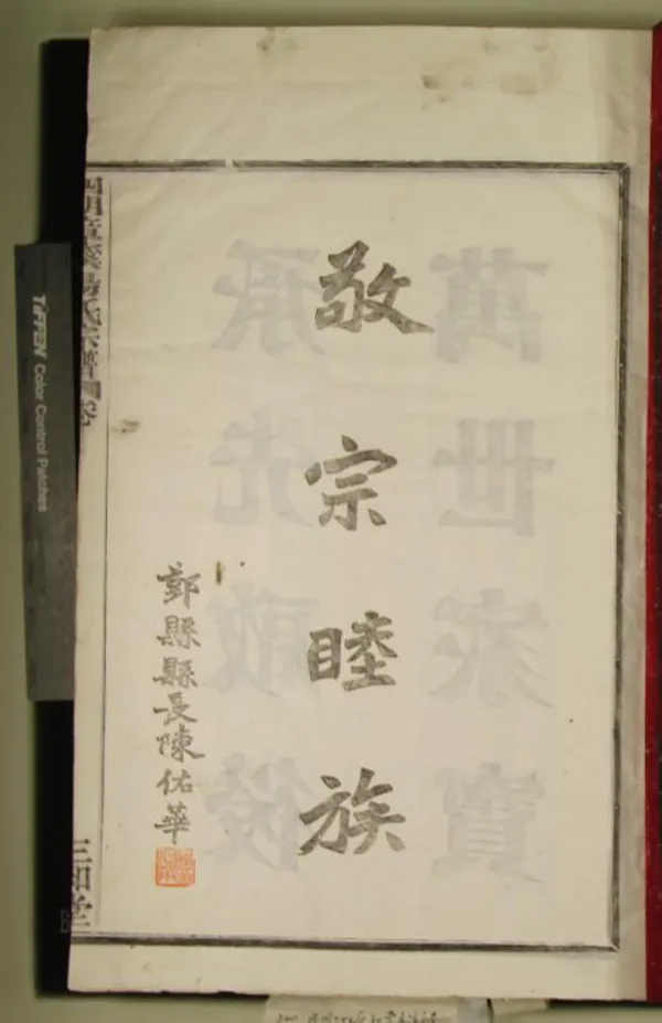 《[浙江寧波]四明章溪湯氏宗譜四卷》作者：(民國)民國湯忠聖等纂修  活字本  PDF下载-汉笺公版书