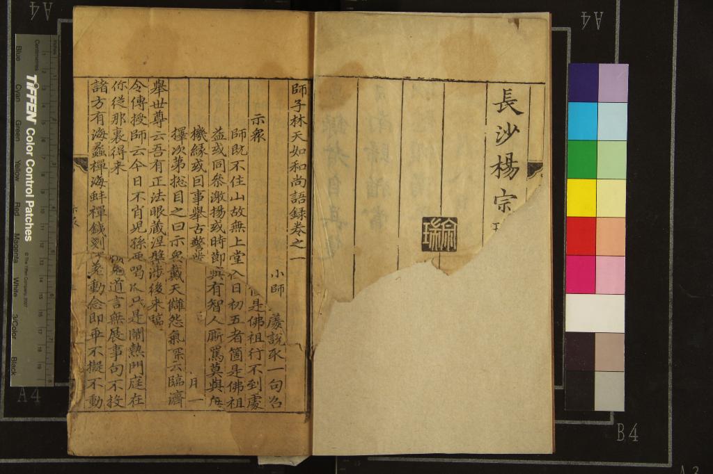 《師子林天如和尚語錄二卷別錄五卷剩語集二卷》作者：(元至正)元釋惟則撰、元釋善遇編  刻本  PDF下载-汉笺公版书