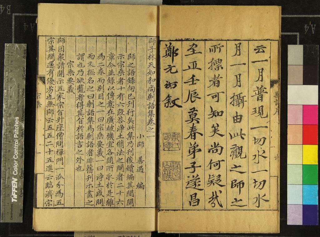 《師子林天如和尚語錄二卷別錄五卷剩語集二卷》作者：(元至正)元釋惟則撰、元釋善遇編  刻本  PDF下载-汉笺公版书