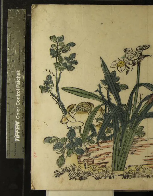 《青在堂畫傳三集》作者：(清康熙)清王蓍等撰  刻本  PDF下载-汉笺公版书