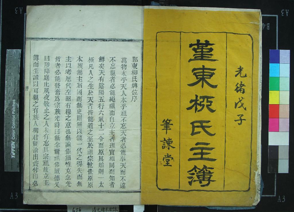 《[浙江鄞縣]鄞東柳氏主簿不分卷》作者：(清光緒)清柳賢滄纂修  木活字印本  PDF下载-汉笺公版书