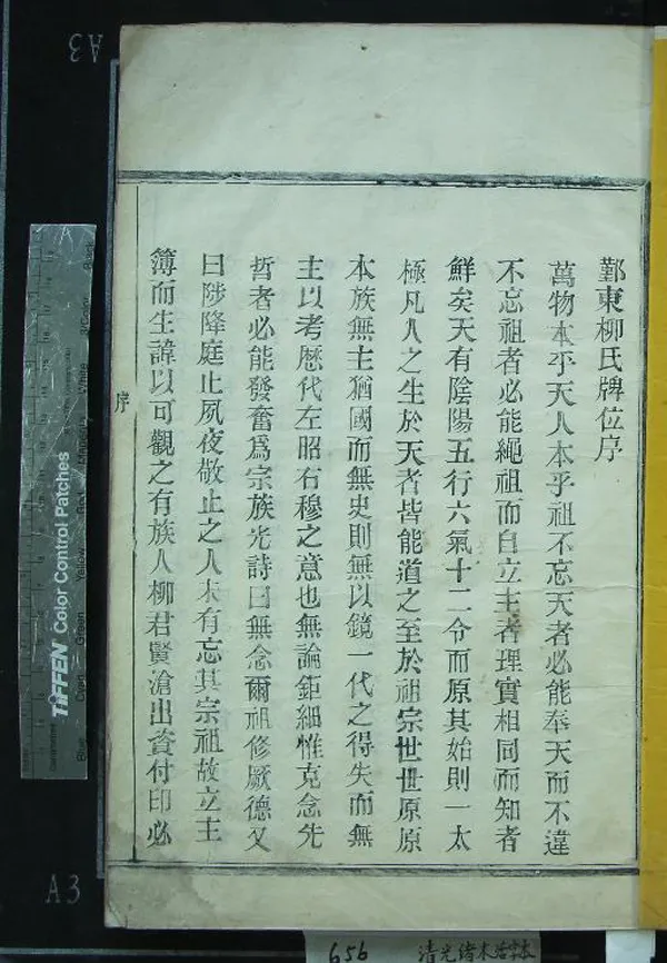 《[浙江鄞縣]鄞東柳氏主簿不分卷》作者：(清光緒)清柳賢滄纂修  木活字印本  PDF下载-汉笺公版书