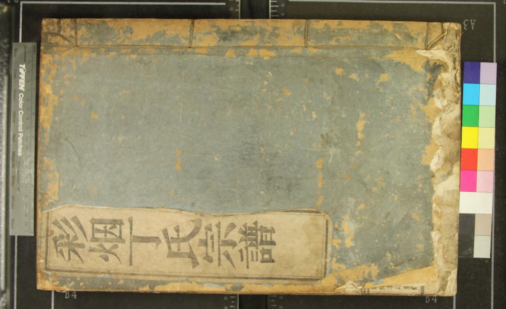 《[浙江新昌]彩煙丁氏宗譜十二卷》作者：(清乾隆)清丁承瑞纂修  活字本  PDF下载-汉笺公版书