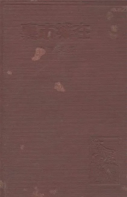 《在城市裏》 作者:張天翼作 1937年  PDF下载-汉笺公版书