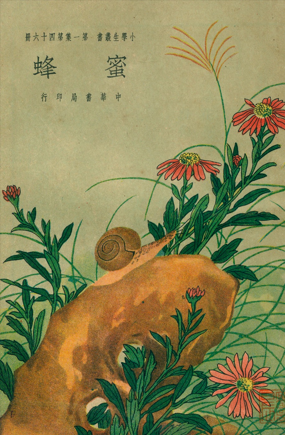 《蜜蜂》 作者:王志瑞等編著  1934年  PDF下载-汉笺公版书