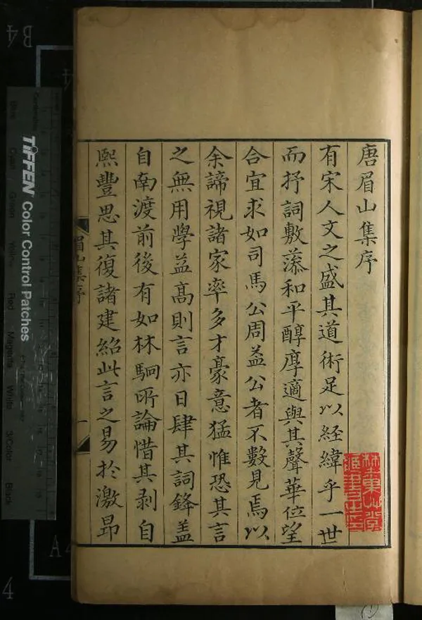 《唐眉山詩集十卷唐先生文集十四卷》作者：(清雍正)宋、唐庚撰、清汪亮采校訂  活字本  PDF下载-汉笺公版书