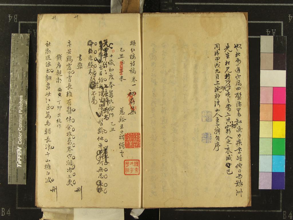 《映紅樓詩稿五卷》作者：(清)清王定祥撰  稿本  PDF下载-汉笺公版书