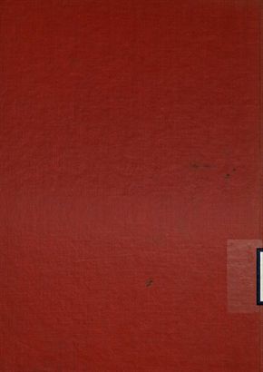 《中國大狀師》 作者:襟亞閣主編 1927年  PDF下载-汉笺公版书