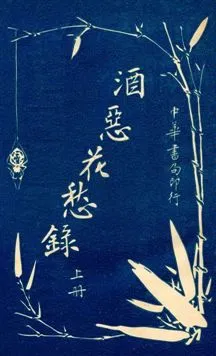《酒惡花愁錄》 作者:扁舟子著 ; 董皙薌校訂 民6.01[1917.01]年  PDF下载-汉笺公版书