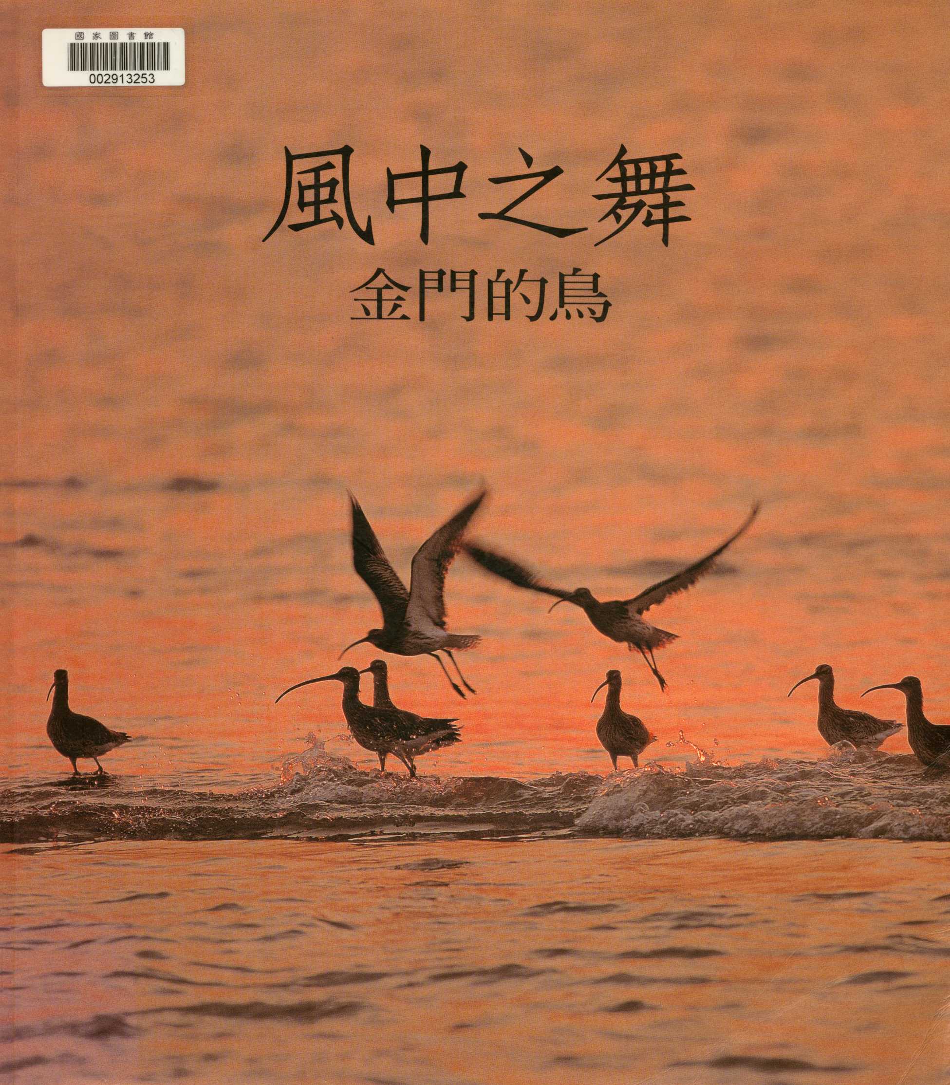 《風中之舞-金門的鳥》 作者:廖東坤 2004年  PDF下载-汉笺公版书