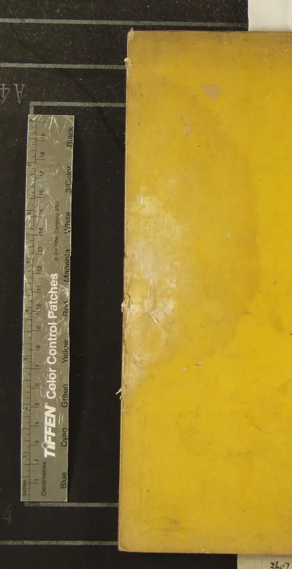 《續軒渠詩集十卷附錄一卷》作者：(清)元洪希文撰、明蔡宗兗刪正  抄本  PDF下载-汉笺公版书