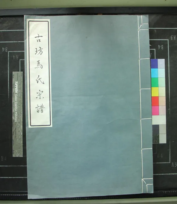 《[浙江鄞縣]古坊馬氏宗譜九卷》作者：(民國)民國馬世鏘等修  活字本  PDF下载-汉笺公版书