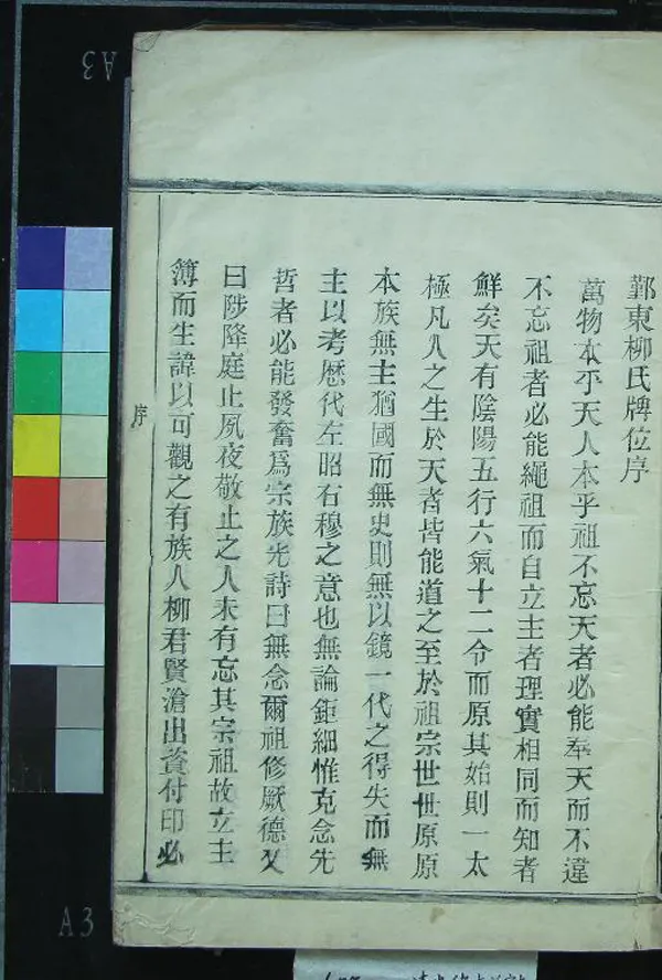 《[浙江鄞縣]鄞東柳氏主簿不分卷》作者：(清光緒)清柳賢滄纂修  木活字印本  PDF下载-汉笺公版书