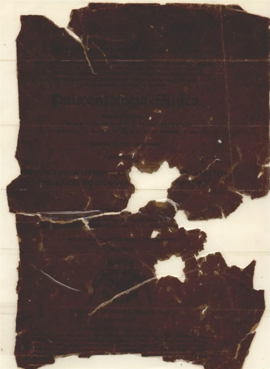 《造礁珊瑚的成長率及其與海水温度的關係》 作者:馬廷英著 1937年  PDF下载-汉笺公版书