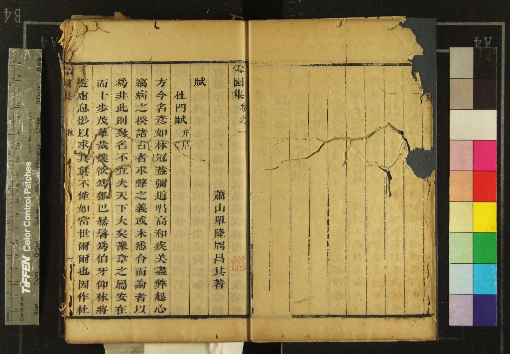 《雪園集四卷》作者：(清)清單隆周著  刻本  PDF下载-汉笺公版书