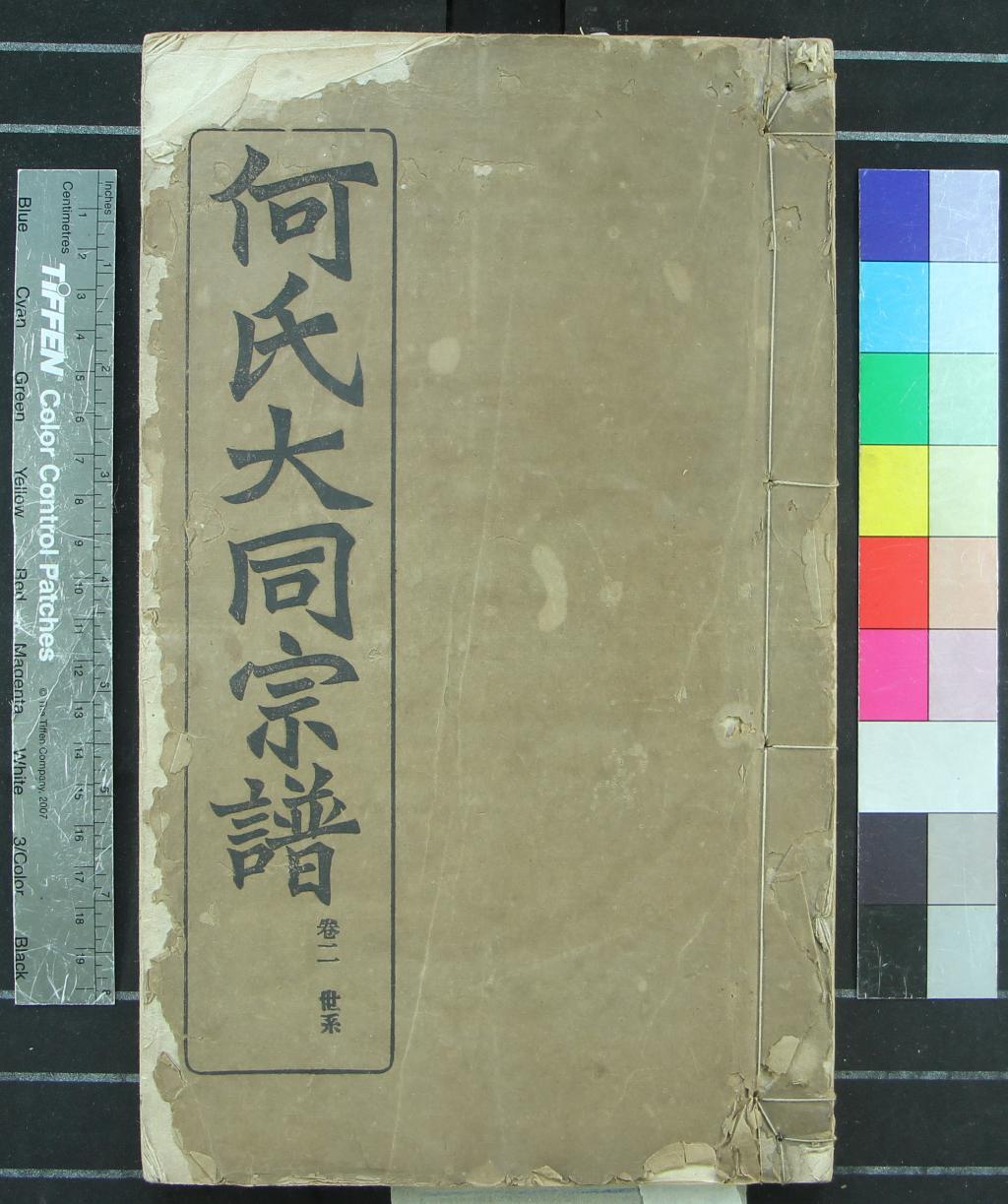 《[安徽廬江]廬江郡何氏大同宗譜二十六卷》作者：(民國)民國何福堂、何玉甫纂修  鉛印本  PDF下载-汉笺公版书